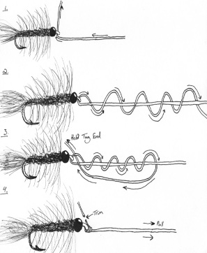 Clinch Knot Drawing